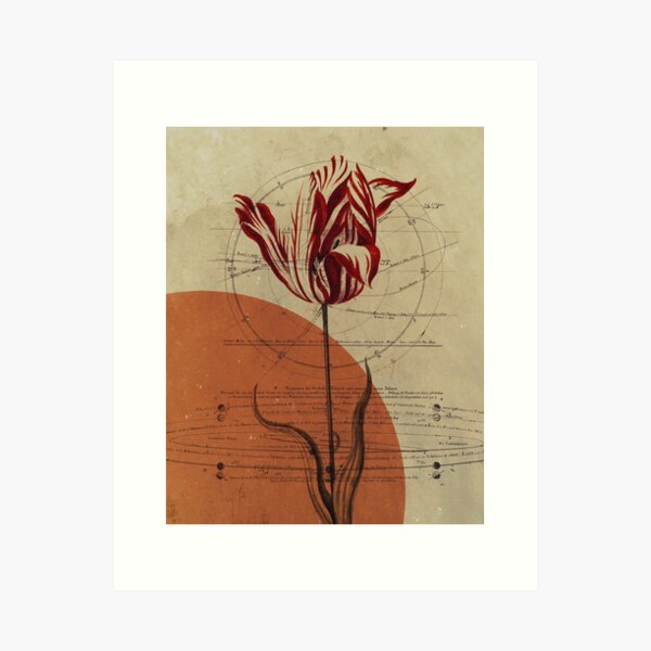 Item preview, The Science of Beauty - Vintage Flower Collage designed and sold by the-quiet-fight.