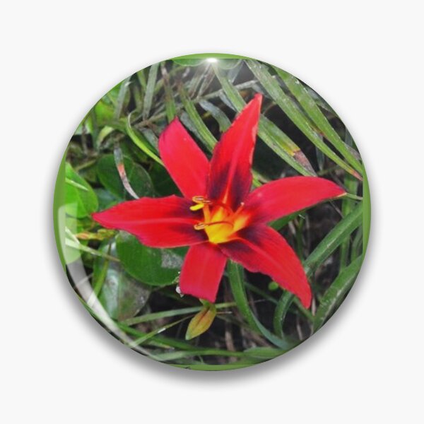 Item preview, EXPLOSION 3 flowers leaves lily star ipomea palm phoenix background blue green red nature designed and sold by dragonemma.