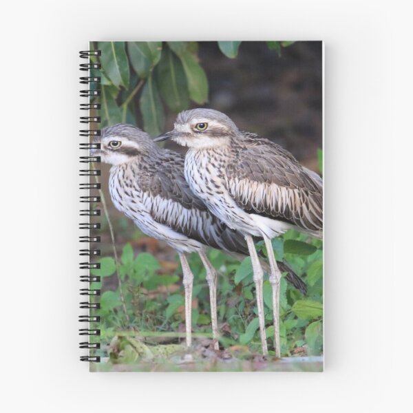 Item preview, Bush Stone-Curlews designed and sold by Wanderingeagles.