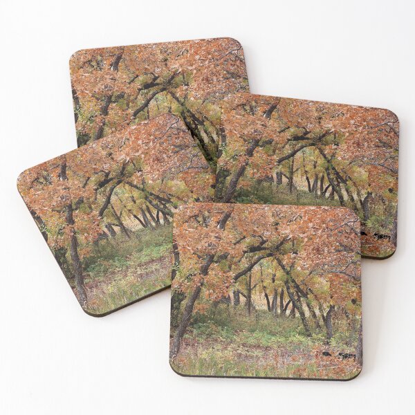 Item preview, Forest Walk designed and sold by BattleMountain.