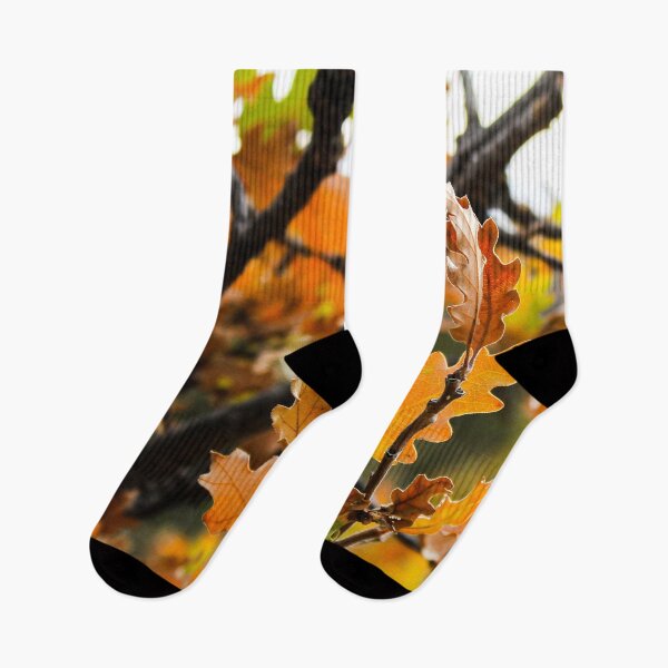 Item preview, Otoño / Hojas de colores de otoño designed and sold by Traveledesigns.