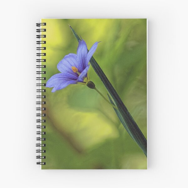 Item preview, --Blue-Eyed Grass designed and sold by T.J. Martin.