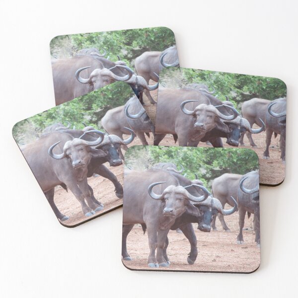 Item preview, Buffalo designed and sold by Maria  Varlet.