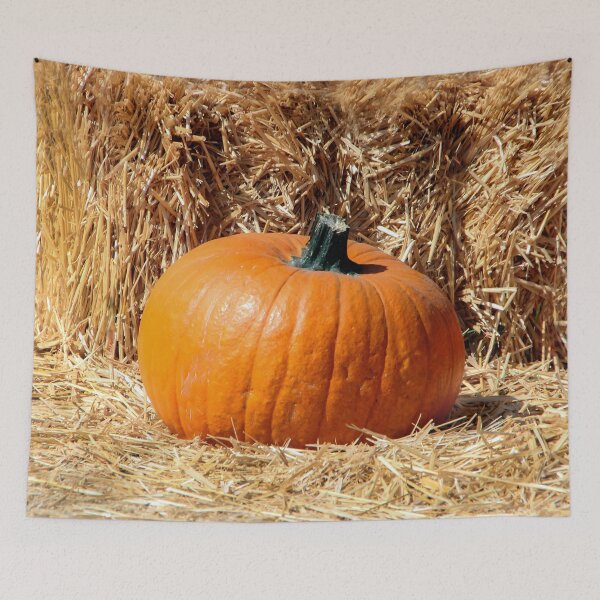 Item preview, Pumpkin Waiting designed and sold by heatherfriedman.