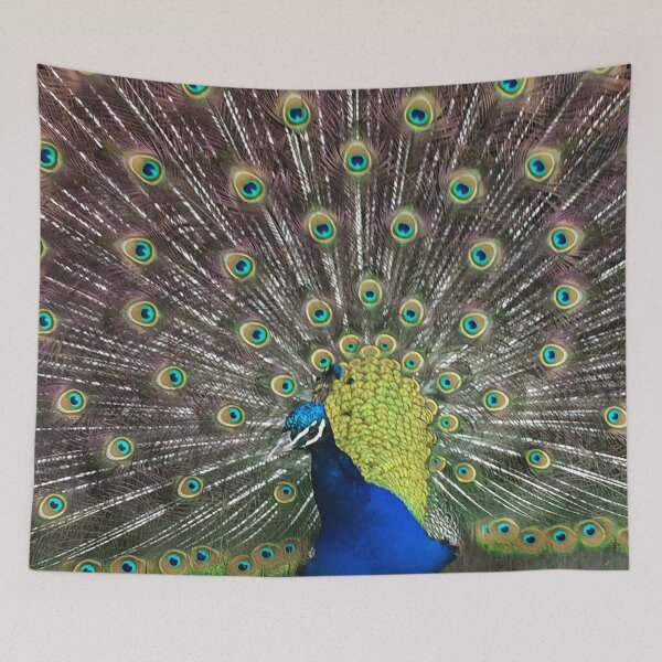 Item preview, Peacock Closeup designed and sold by AestheticNerd15.