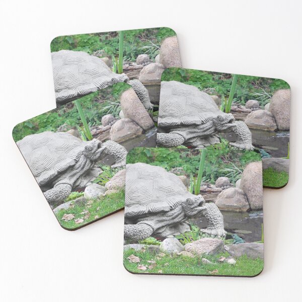 Item preview, This Turtle Is Scared of the Little Frog!  designed and sold by heatherfriedman.