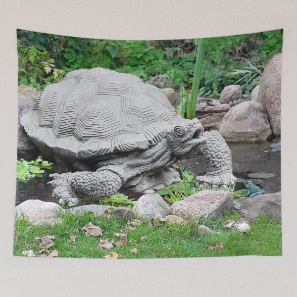 Item preview, This Turtle Is Scared of the Little Frog!  designed and sold by heatherfriedman.