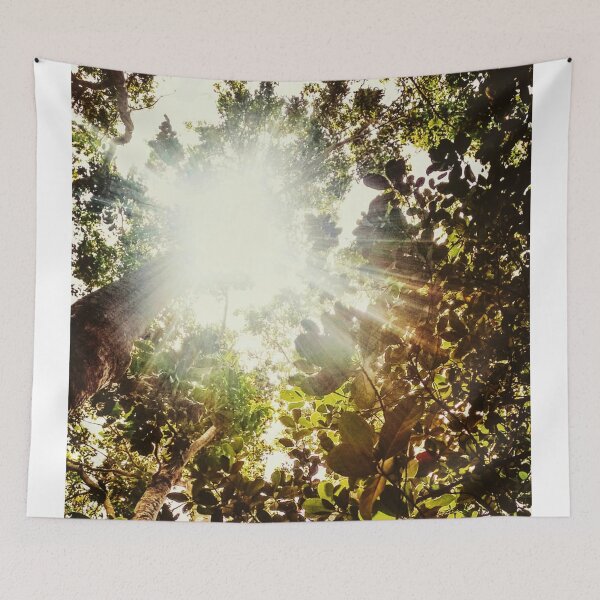 Item preview, sun rays from the deep trees designed and sold by prem sai.
