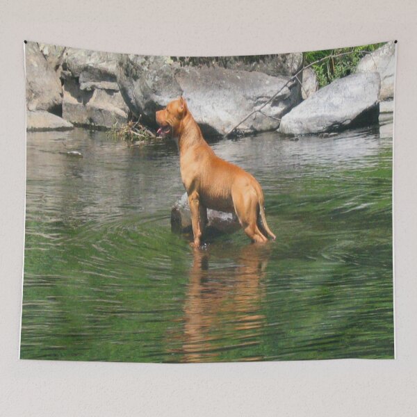 Item preview, Pitbull  Dog,Girl Best Friend Lake Lover Baby designed and sold by Damitparasayo.