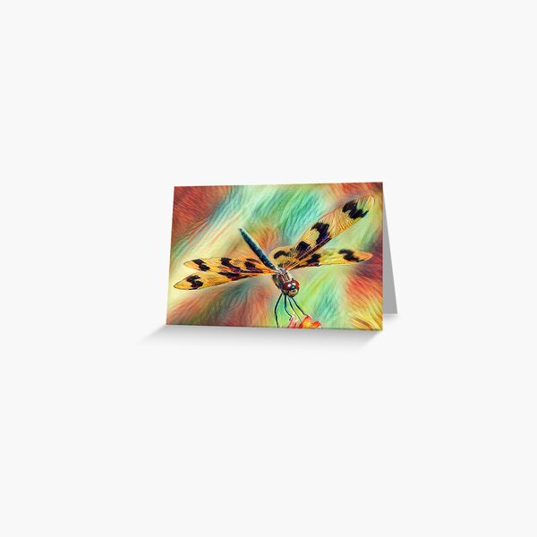 Graphic Flutterer Dragonfly Greeting Card