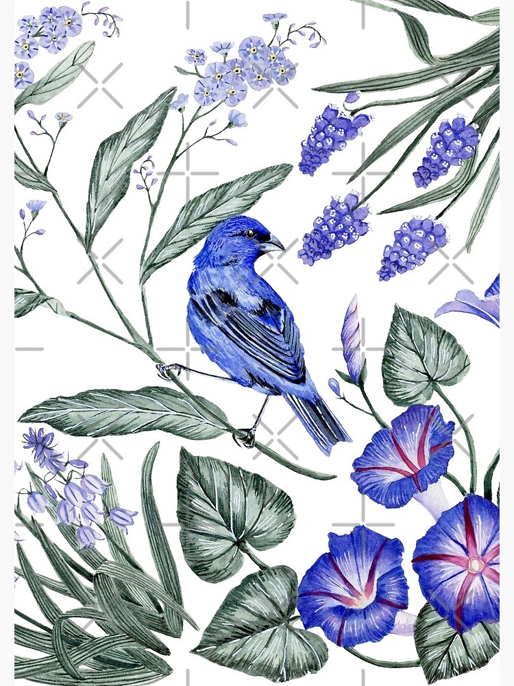 Indigo Bunting & Flowers by JClaireMaher