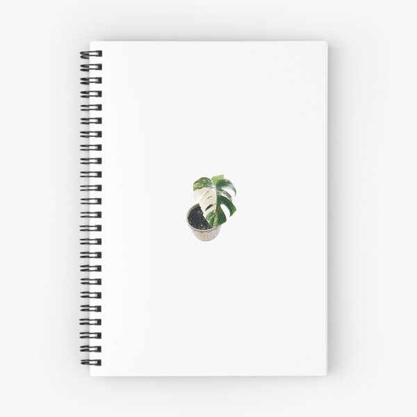 Item preview, Variegated Monstera Deliciosa designed and sold by Ben-Berk.