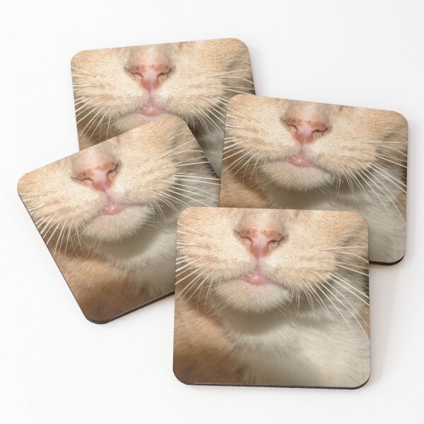 Item preview, Kitty kitty, pretty kitty designed and sold by Guyshka.