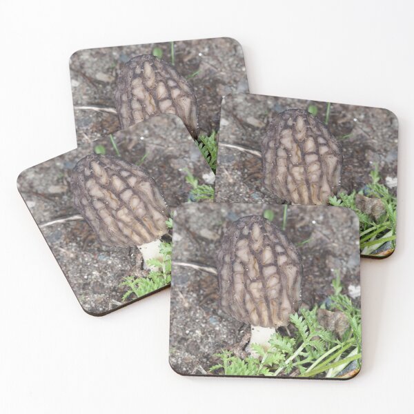 Item preview, Wild black morel mushroom designed and sold by SDym Photography.