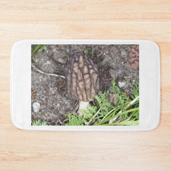 Item preview, Wild black morel mushroom designed and sold by SDym Photography.