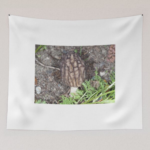 Item preview, Wild black morel mushroom designed and sold by SDym Photography.