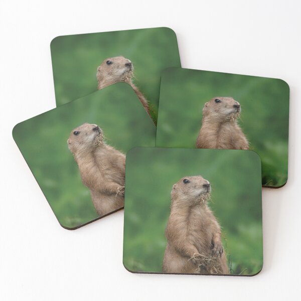 Item preview, I Didn't Dig Up The Garden designed and sold by rawshutterbug.