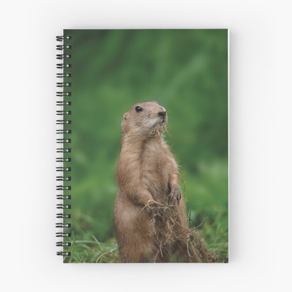 Item preview, I Didn't Dig Up The Garden designed and sold by rawshutterbug.