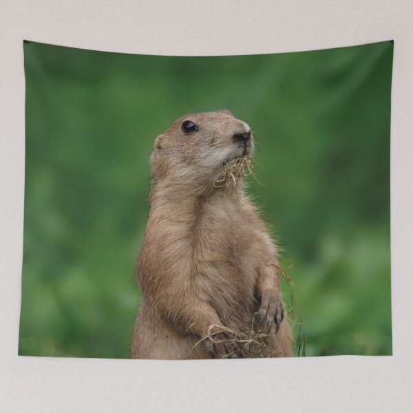 Item preview, I Didn't Dig Up The Garden designed and sold by rawshutterbug.