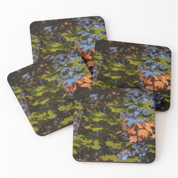 Item preview, Natural leaf image design for you. designed and sold by Shubham2202.