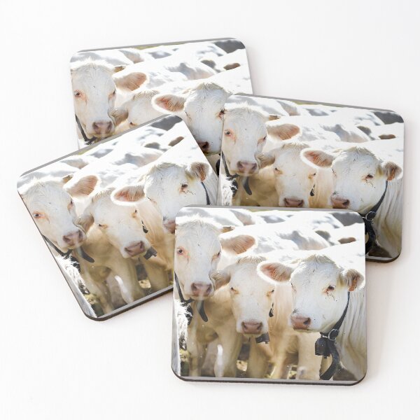 Item preview, Cows designed and sold by Denis Charmot.