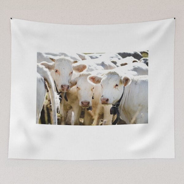 Item preview, Cows designed and sold by Denis Charmot.
