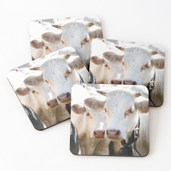 Item preview, Cows 2 designed and sold by Denis Charmot.