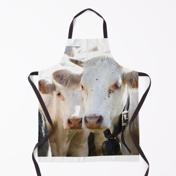 Item preview, Cows 2 designed and sold by Denis Charmot.