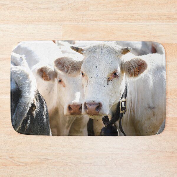 Item preview, Cows 2 designed and sold by Denis Charmot.