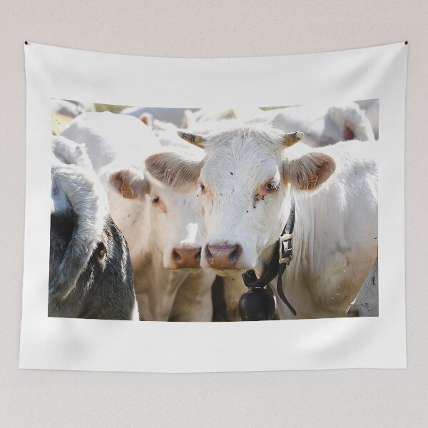 Item preview, Cows 2 designed and sold by Denis Charmot.