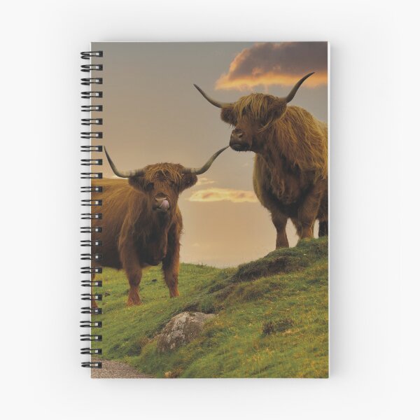 Item preview, Highland Cows At Sunset designed and sold by rawshutterbug.