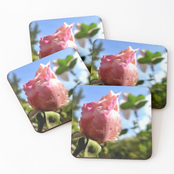Item preview, A late little rose in October designed and sold by jchanders.