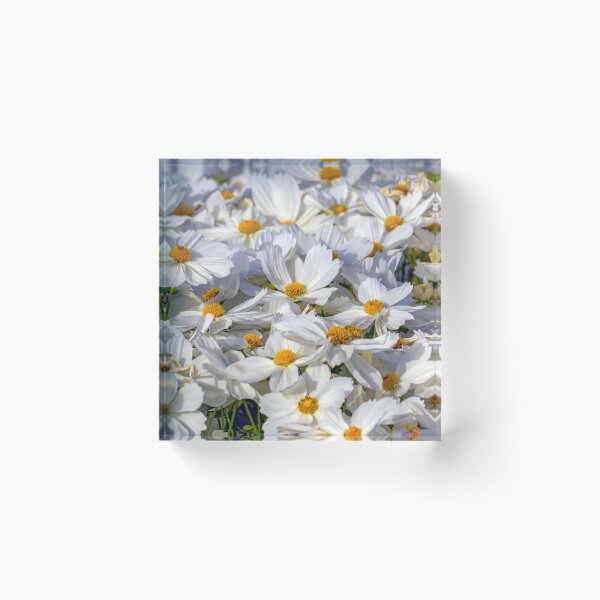 Item preview, white flowers in the field designed and sold by likbatonboot.