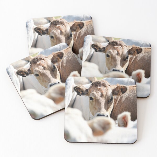 Item preview, Cows 3 designed and sold by Denis Charmot.
