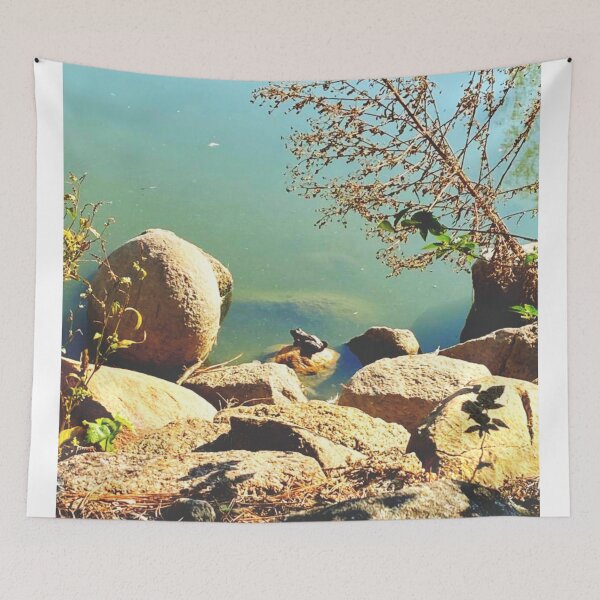 Item preview, Frog by the pond designed and sold by OMdesigns93.