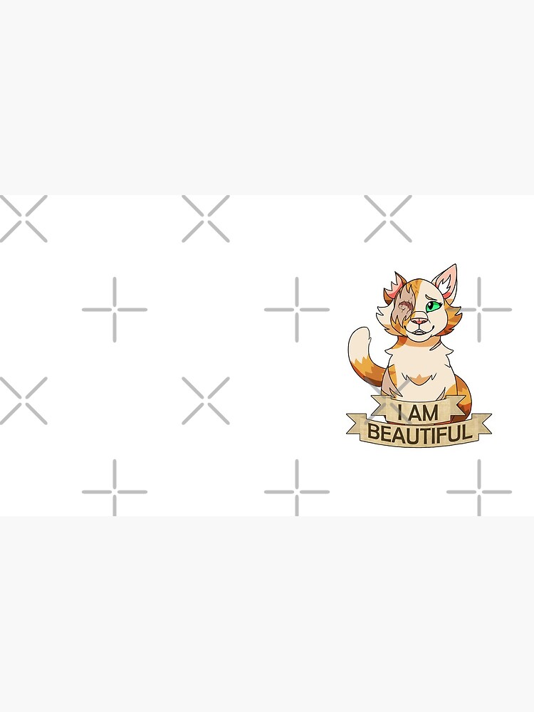 Warrior Cats: I am Beautiful Brightheart