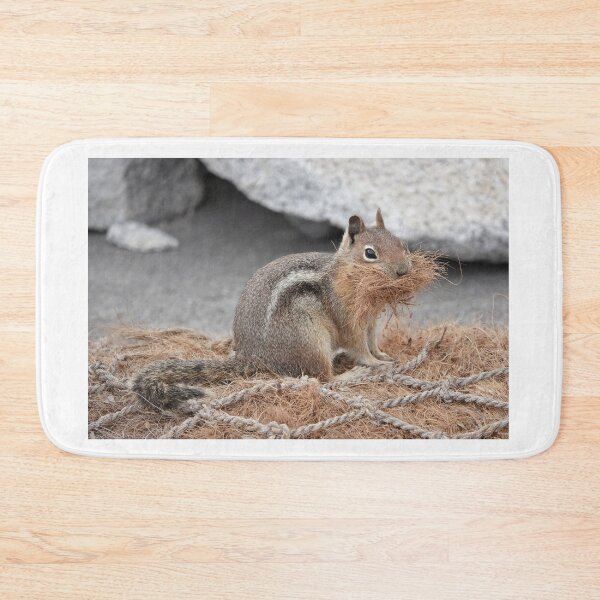 Item preview, Cascade golden-mantled ground squirrel gathering nesting material designed and sold by SDym Photography.