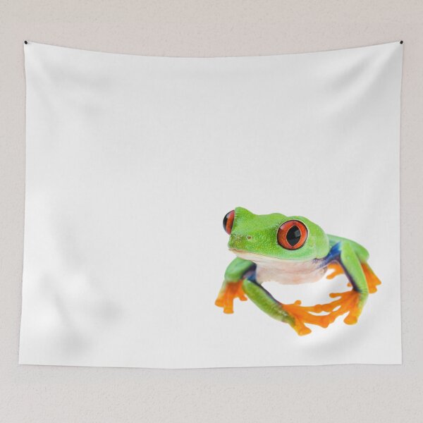 Item preview, Red eye treefrog (Agalychnis callidryas) designed and sold by Emanuele Biggi.