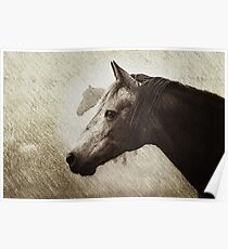 Morgan Mares Reign Poster