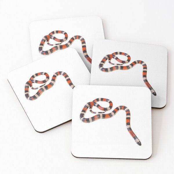 Item preview, Pueblan Milk Snake Lampropeltis triangulum campbelli designed and sold by Emanuele Biggi.