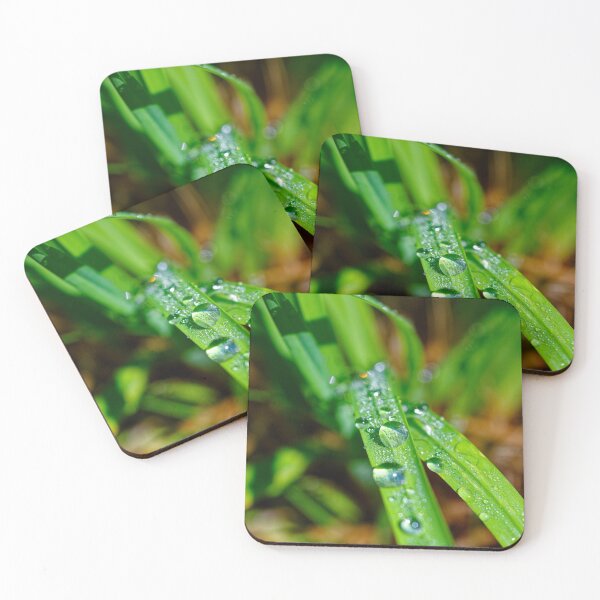 Item preview, Macro photo of a grass and rain drops designed and sold by Millenn.