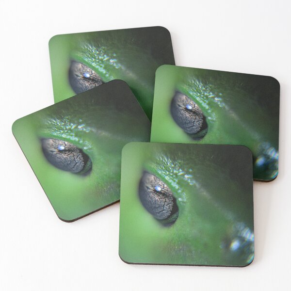 Item preview, Frog Eye designed and sold by spencer-r.