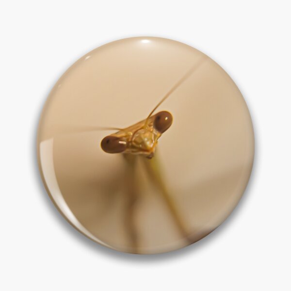 Item preview, Insect designed and sold by spencer-r.