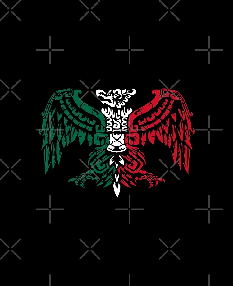 Funda y vinilo para iPad «Guerrero Águila Azteca - Caballero Águila Azteca  - Raíces Mexicanas» de anziehend | Redbubble