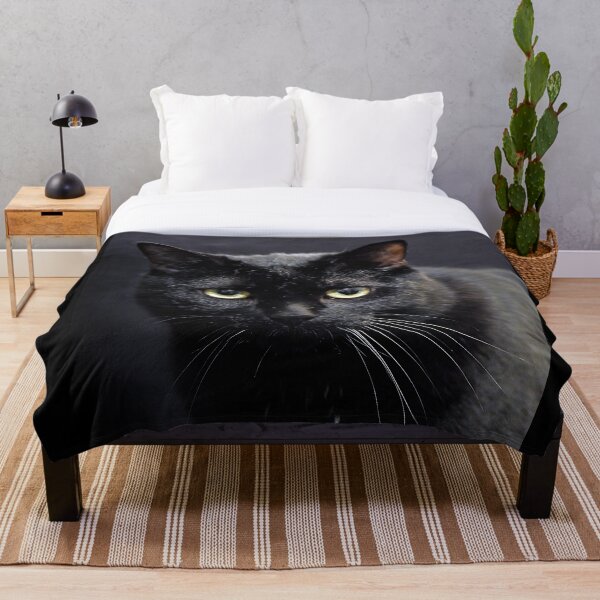 Item preview, Gato Negro designed and sold by Denis Charmot.