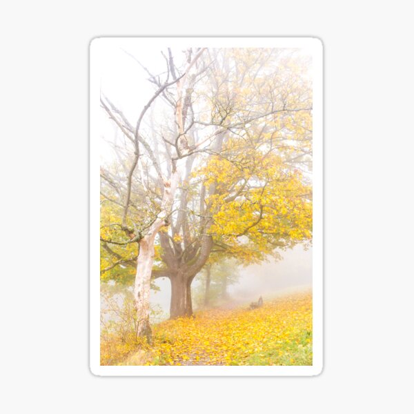 Misty Fall Day Sticker