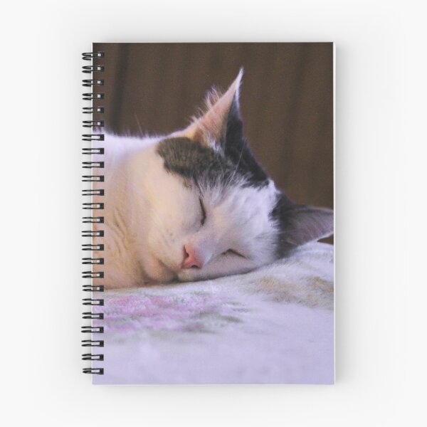 Item preview, Munchkin Sleeping ♥ designed and sold by heatherfriedman.