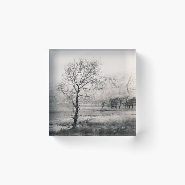 Item preview, Loch Etive Tree designed and sold by David Bowman.