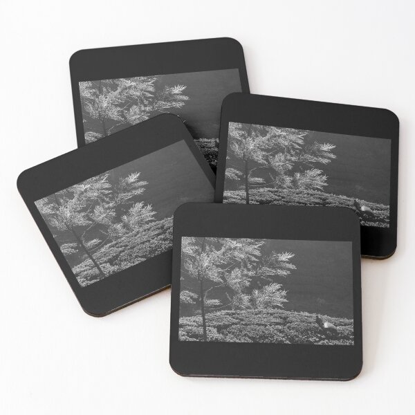 Item preview, SKN6781 Working In Solitude. B/W designed and sold by Sunil Kapadia.