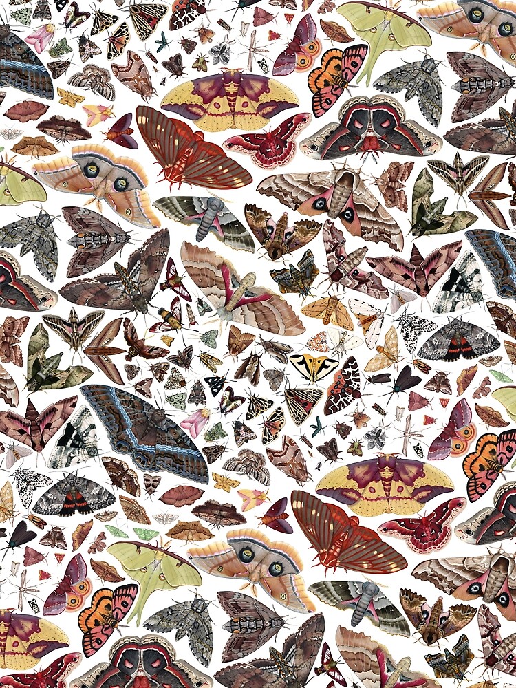 Moths of North America Pattern by JadaFitch